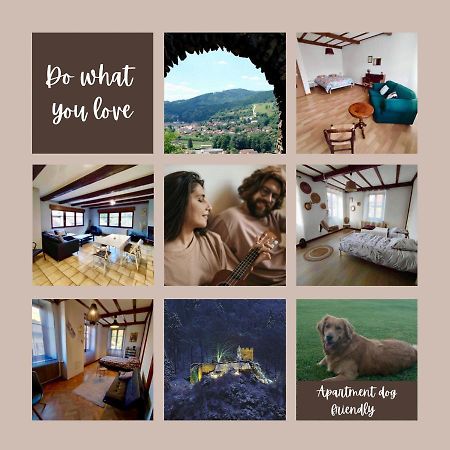 Appartamento Gite Chez Lulu Proche Du Chateau De Schirmeck Esterno foto