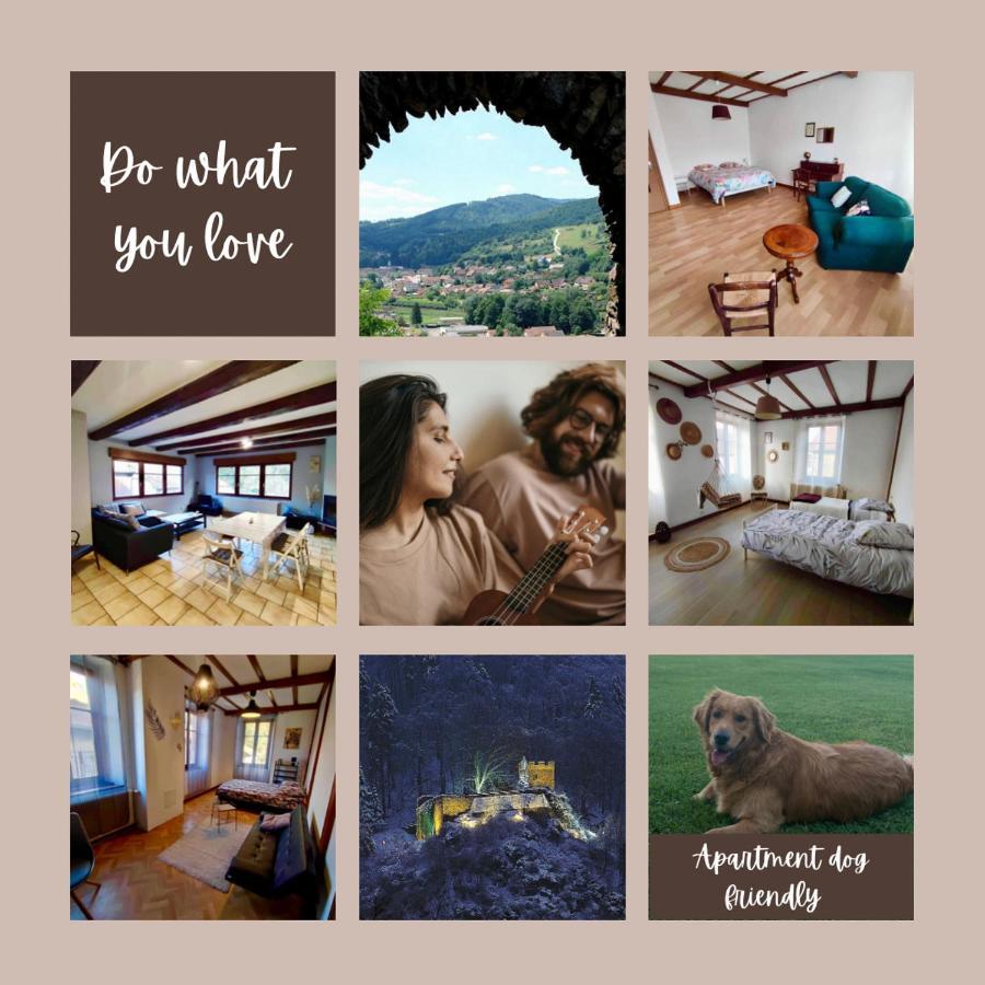 Appartamento Gite Chez Lulu Proche Du Chateau De Schirmeck Esterno foto
