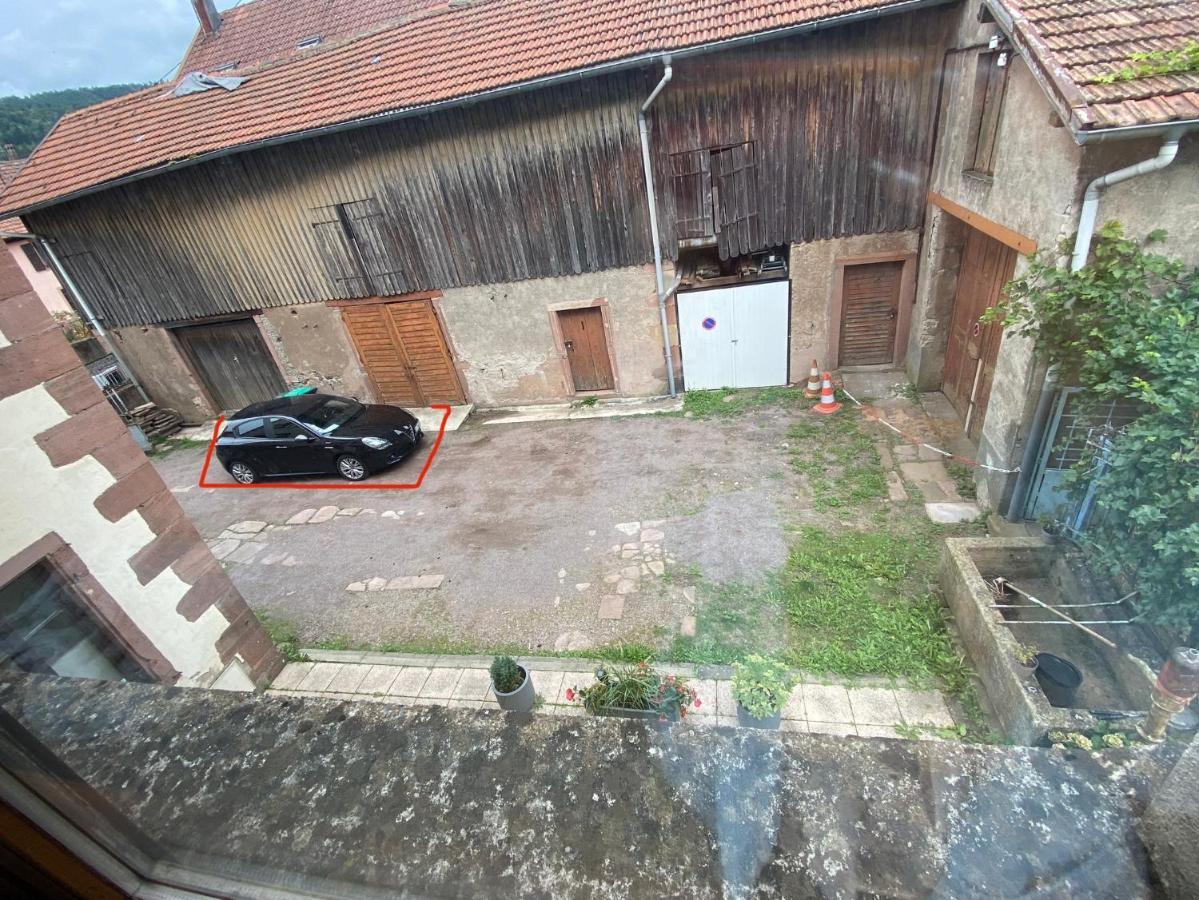 Appartamento Gite Chez Lulu Proche Du Chateau De Schirmeck Esterno foto